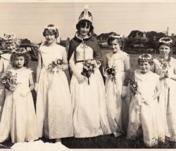Hardingstone Carnival Collection